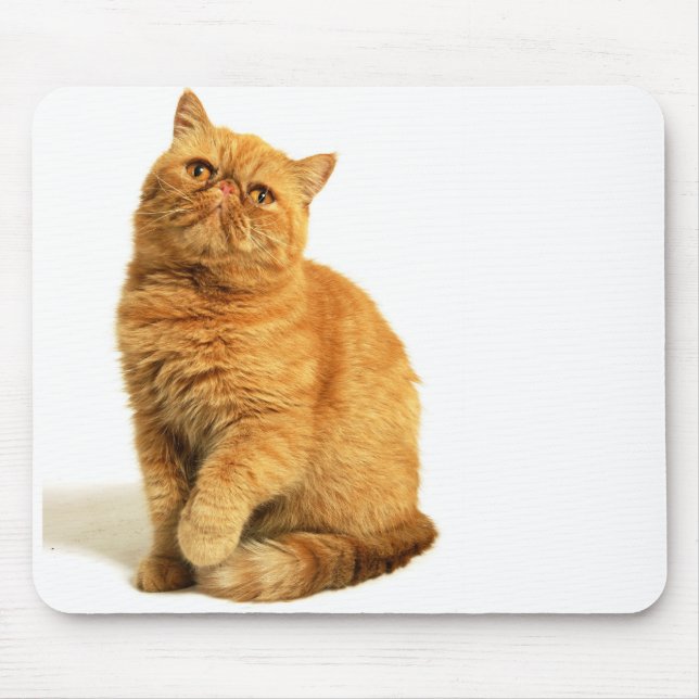 Mousepad Gato persa (Frente)