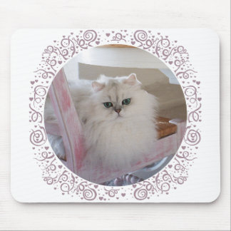 Mousepad Gato Persa Branco em uma Cadeira Rosa