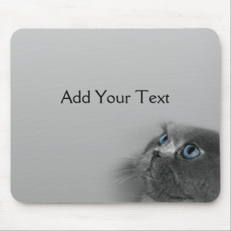Mousepad Gato persa cinzento com olhos azuis no cinza