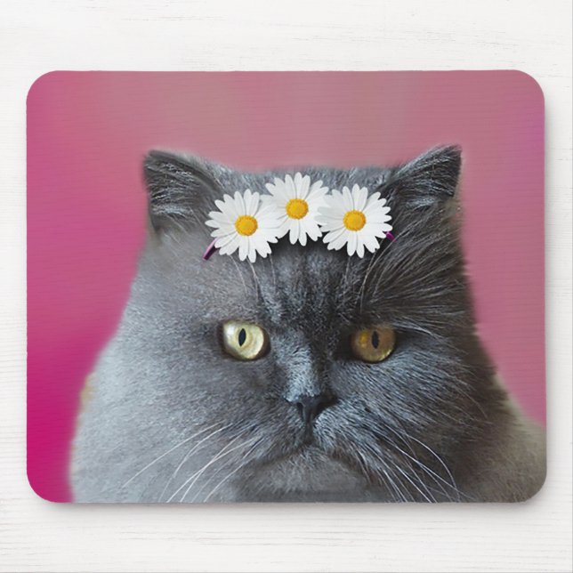 Mousepad Gato Persa de Cinzas com margaridas brancas (Frente)