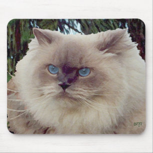 Mousepad Gato Persa Himalaio