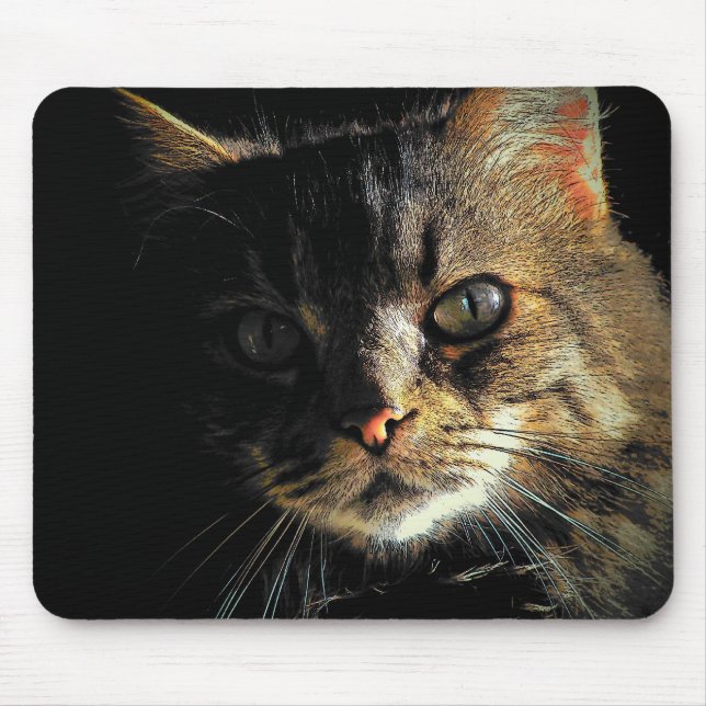Mousepad Gato Persa Maine Coon Cara (Frente)