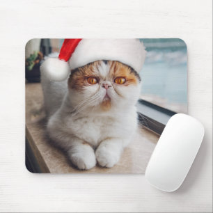 Mousepad Gato persa maravilhoso com chapéu de Papai Noel