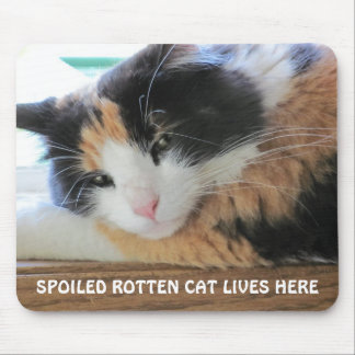 Mousepad Gato podre mimado vive aqui
