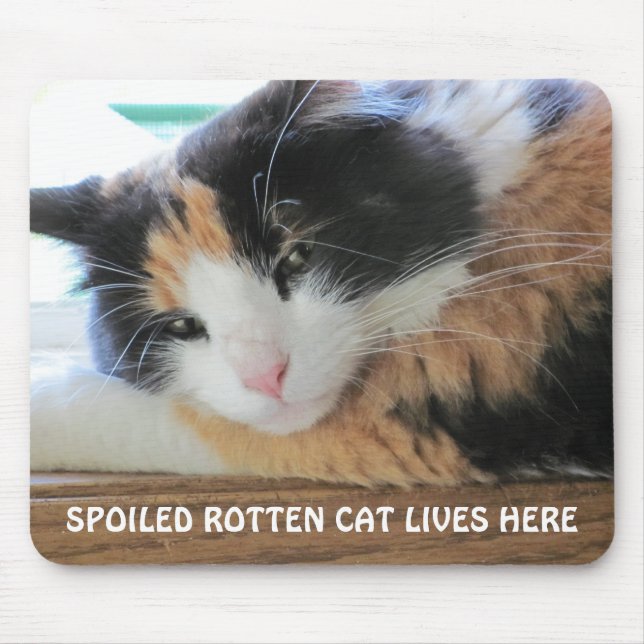 Mousepad Gato podre mimado vive aqui (Frente)
