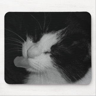 Mousepad Gato preto & branco