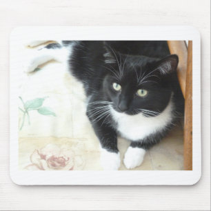 Mousepad Gato preto & branco bonito