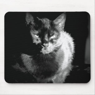 Mousepad Gato preto brilhante