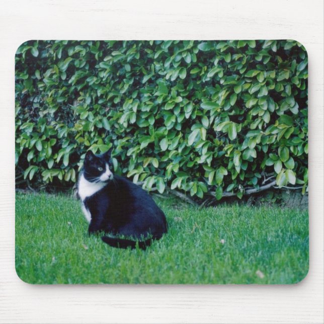 Mousepad Gato preto e branco (Frente)