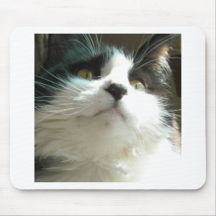 Mousepad Gato Preto e Branco