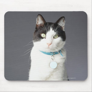 Mousepad Gato preto e branco