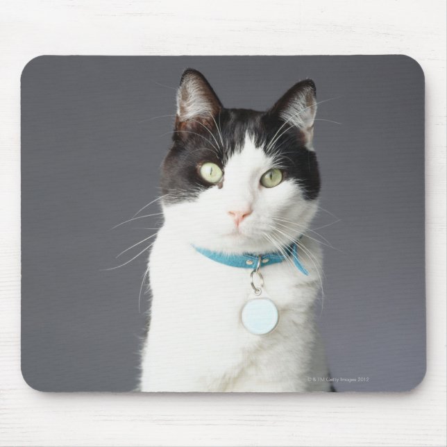 Mousepad Gato preto e branco (Frente)