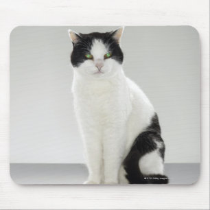 Mousepad Gato preto e branco com os olhos verdes de