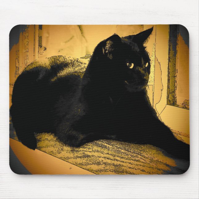 Mousepad Gato preto e laranja (Frente)