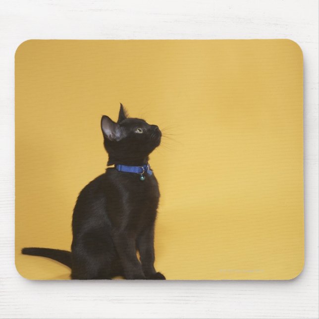 Mousepad Gato preto em colarinho (Frente)