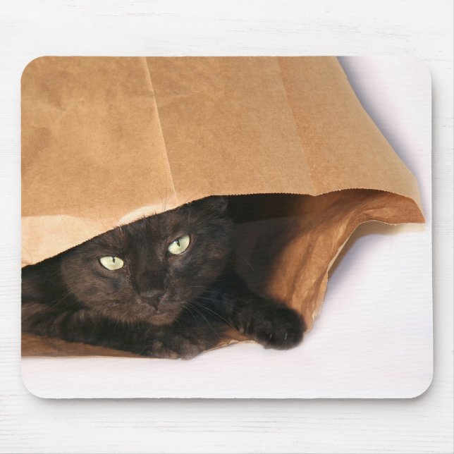 Mousepad Gato preto no saco (Frente)