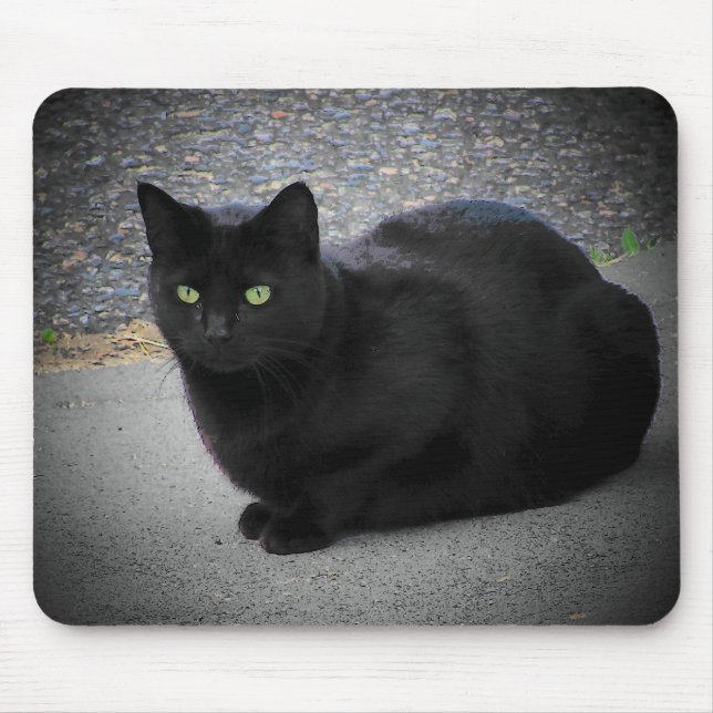 Mousepad Gato Preto Preso num raio de lua (Frente)