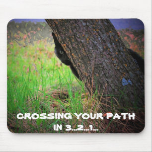 Mousepad Gato preto que cruza seu trajeto em 3… 2… 1… Meme