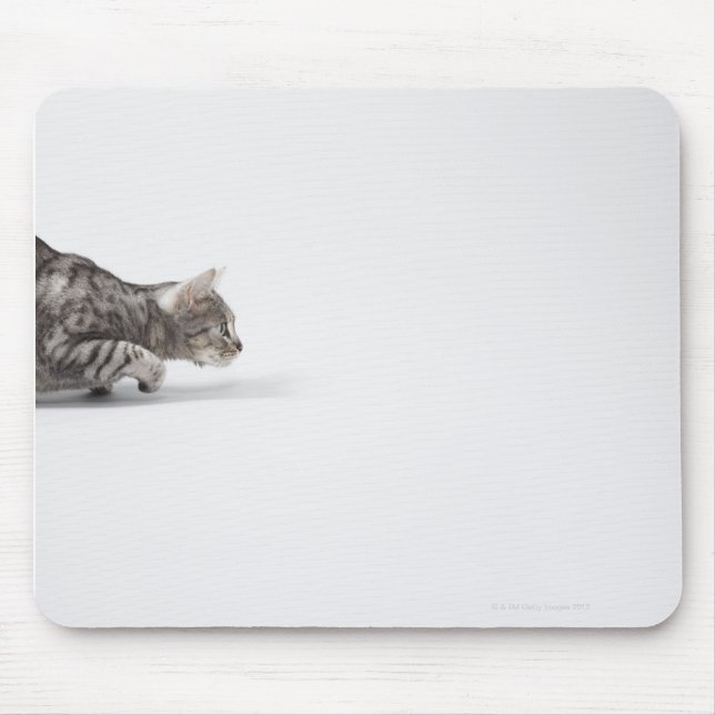 Mousepad Gato pronto para pular (Frente)