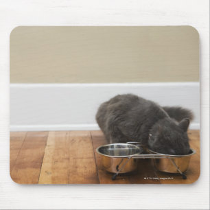 Mousepad Gato que come da bacia