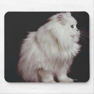 Mousepad Gato que senta-se no fundo preto, fim-acima