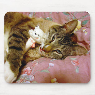 Mousepad Gato Real, Gato Falso