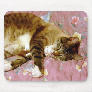 Mousepad Gato Real, Gato Falso 2
