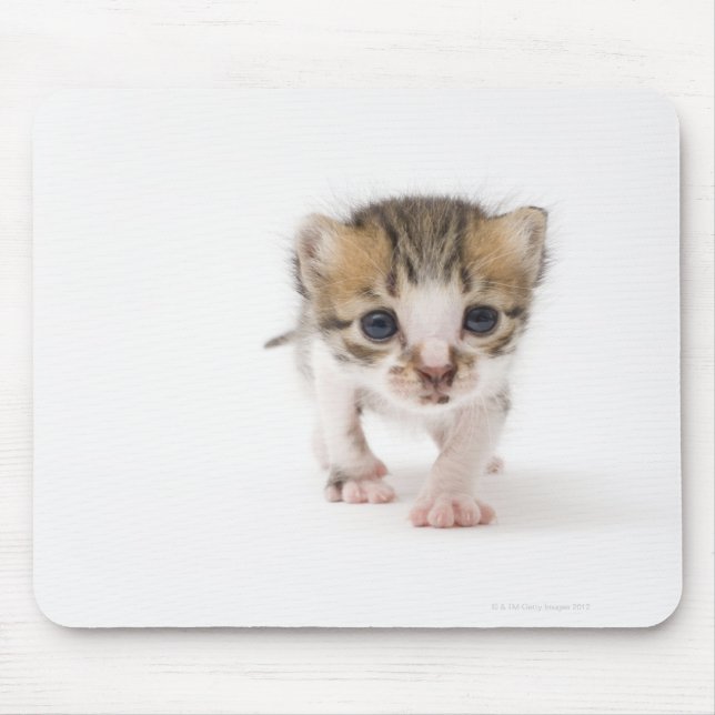 Mousepad Gato recém-nascido (Frente)