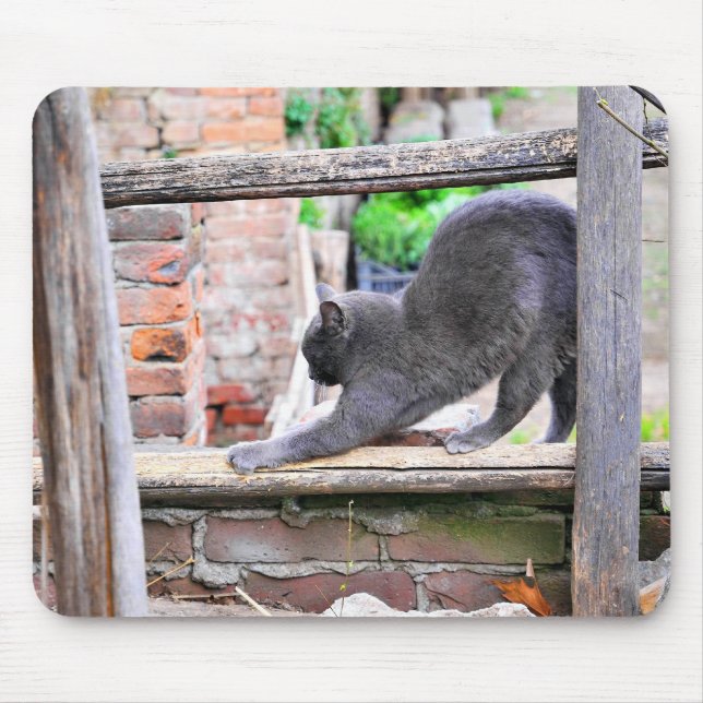 Mousepad Gato se esticando (Frente)