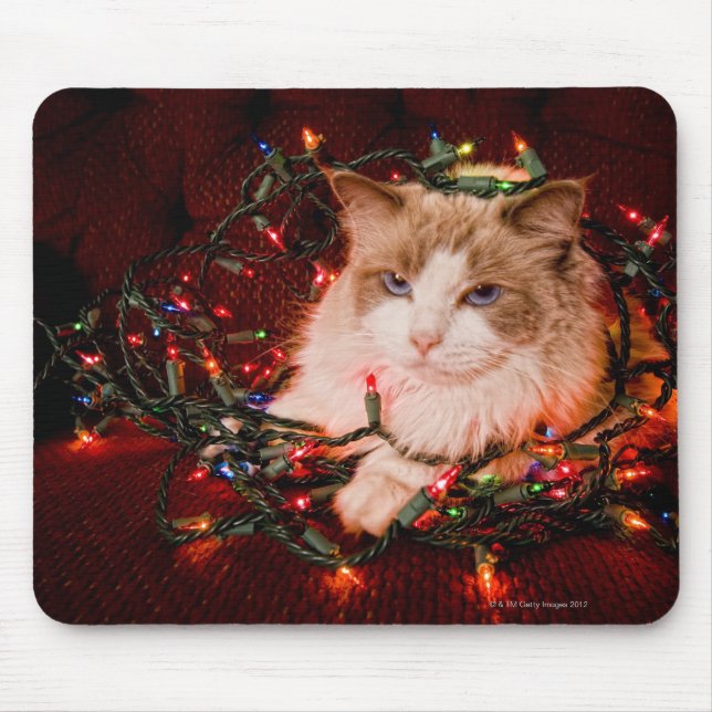 Mousepad Gato sentado em uma bola de luzes de Natal. (Frente)