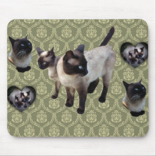 Mousepad gato Siamês nascer da Tailândia