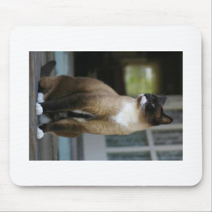 Mousepad Gato Siamês no Porch