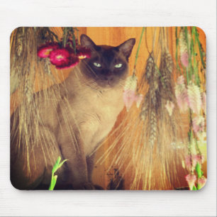 Mousepad Gato Siamês Possuindo 3 Animais