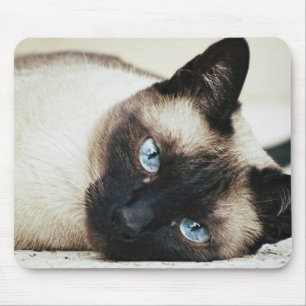 Mousepad Gato Siamese