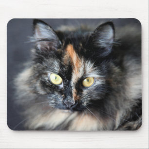 Mousepad Gato Siberiano