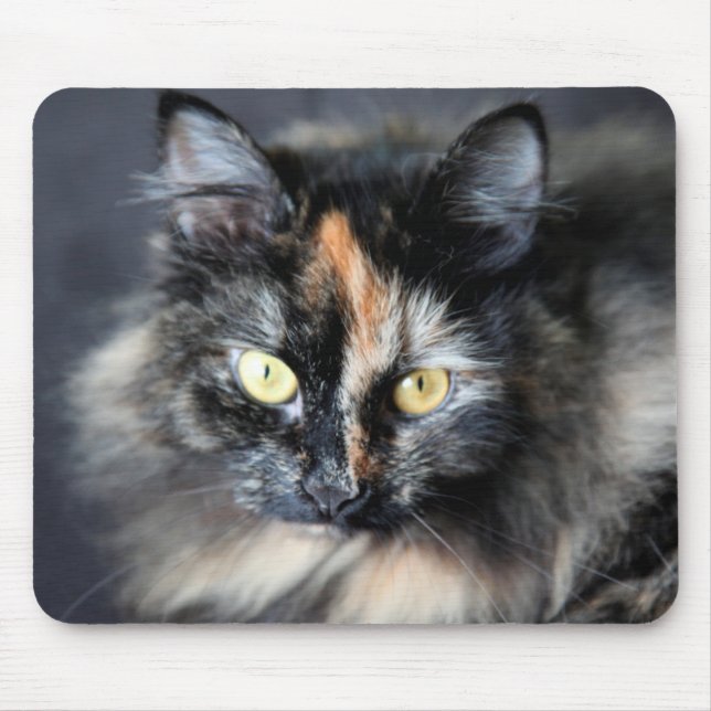 Mousepad Gato Siberiano (Frente)