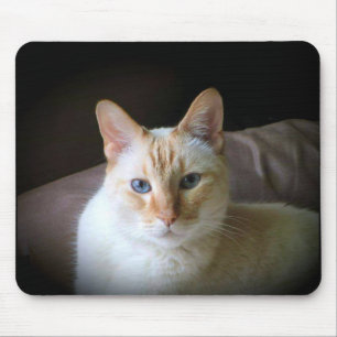Mousepad Gato Símido com Ponto de Chama com Olhos Azuis Bo