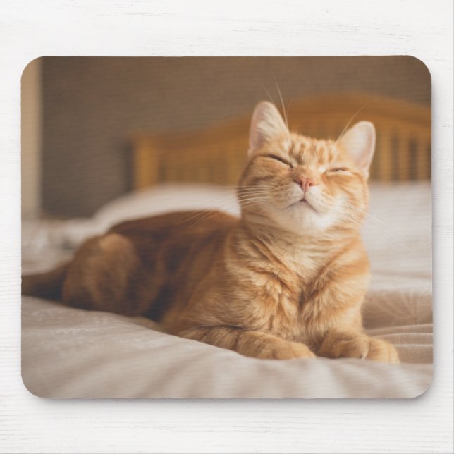 Mousepad Gato sonolento das imagens | de Getty (Frente)