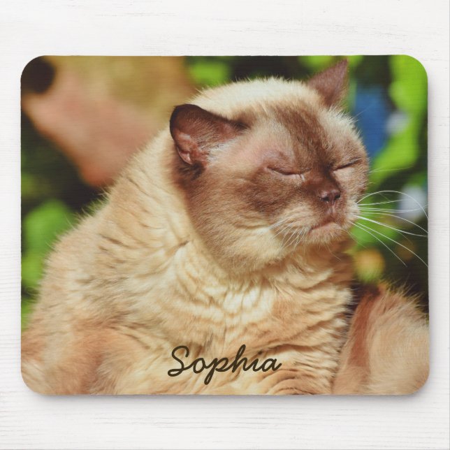 Mousepad Gato Sonolento Engraçado Para Adolescentes De Gati (Frente)