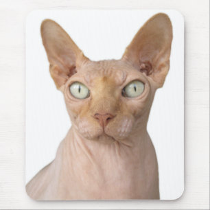 Mousepad Gato Sphynx Sem Cabelos