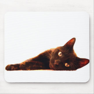 Mousepad Gato & tapete do rato