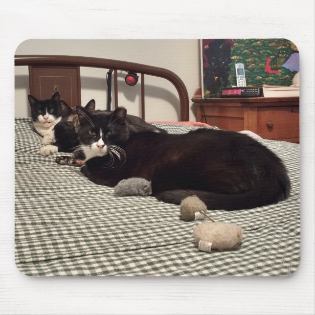 Mousepad Gatos (Frente)