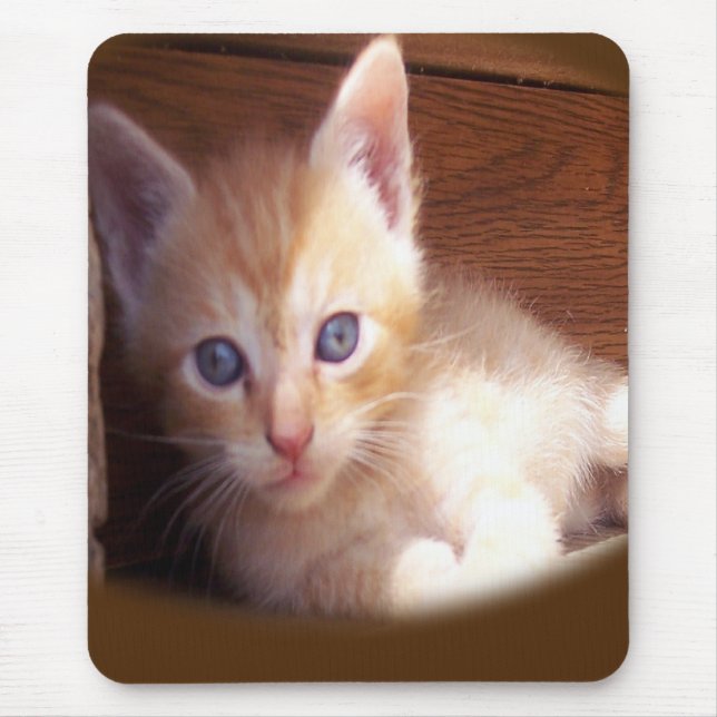 Mousepad Gatos (Frente)