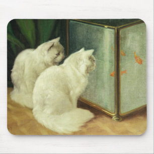 Mousepad Gatos brancos que olham o peixe dourado