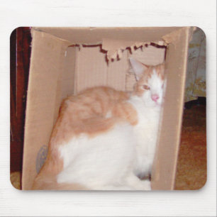 Mousepad Gatos De Medula 31