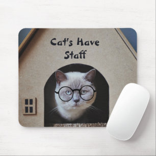Mousepad Gatos Fotográficos De Gato Bonito Têm Funcionarios