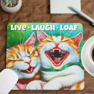 Mousepad Gatos   Gatinhos Engraçados Rindo Ao Vivo Rindo De