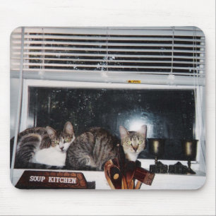 Mousepad Gatos na janela da cozinha
