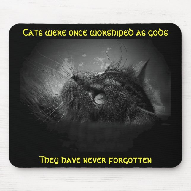 Mousepad Gatos não esqueceram Meme (Frente)