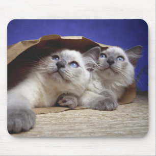 Mousepad Gatos no saco de papel